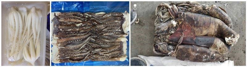 20211009155126d405e7e32163431ab5287969b07559ec