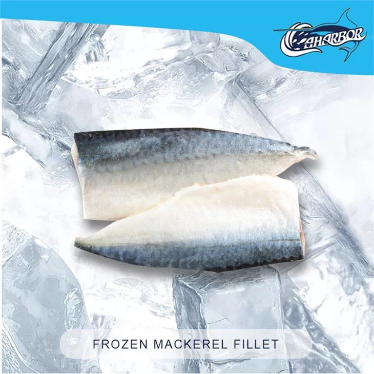 Ffiled Mackerel Wedi'i Rhewi