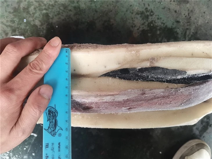 Frozen Squid Fillet skin on