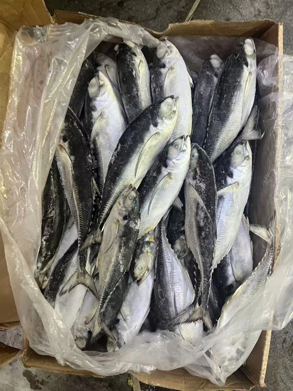 f68208bcceef619a608ea081b8fa363_