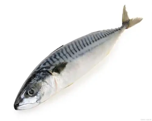 Cyfnewidiodd Rwsia A Japan Gwotâu Pysgota Mecryll A Saury