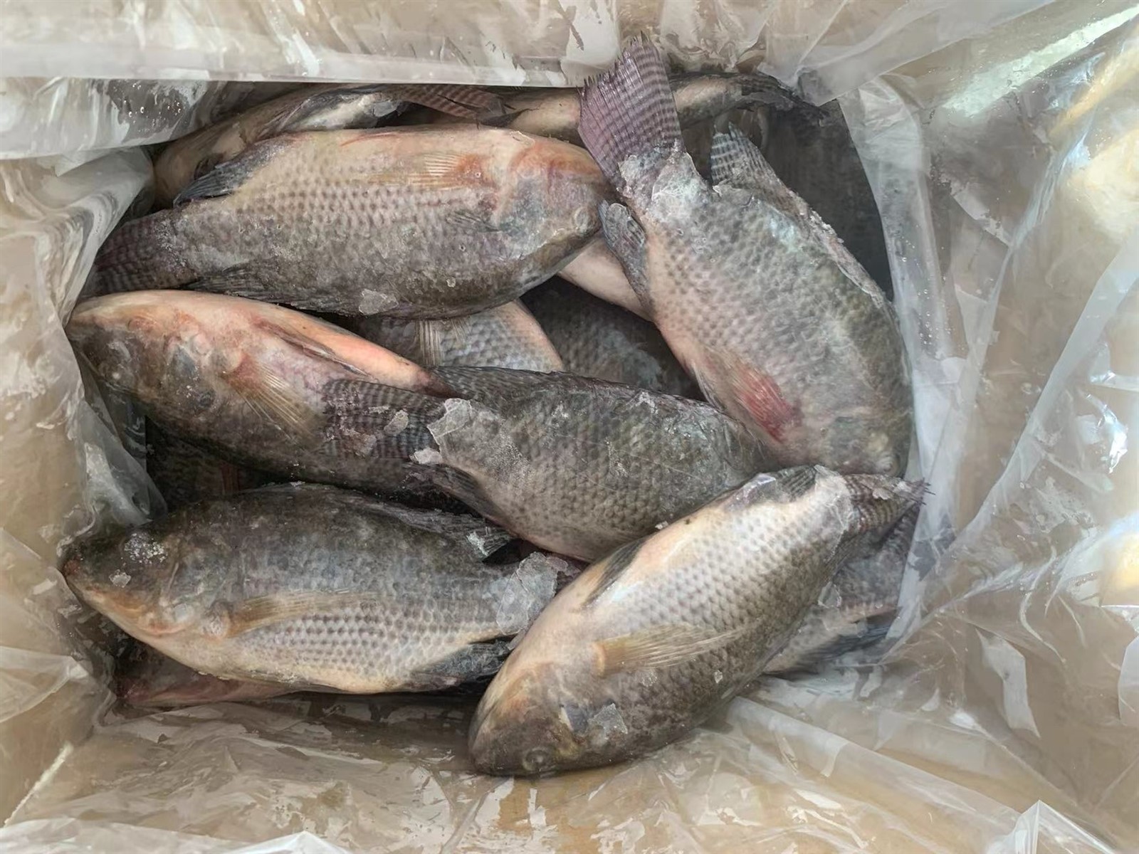 e3940b9fa9a9b051ae87dd7fa5f005b e3940b9fa9a9b051ae87dd7fa5f005b